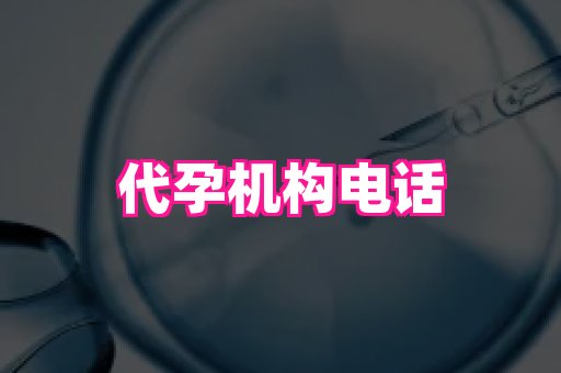 长春助孕网站 4